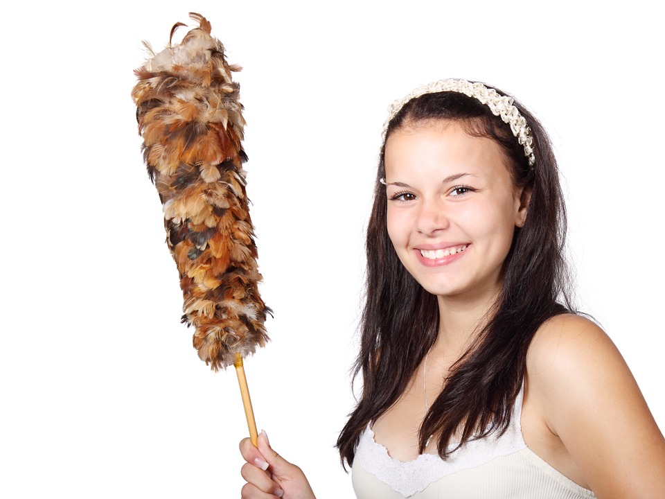 brush-15931_960_7201