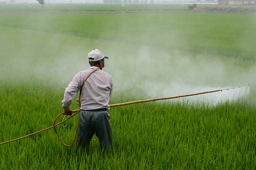 herbicide-587589__3401